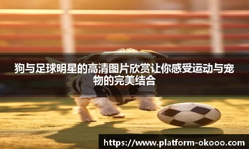 狗与足球明星的高清图片欣赏让你感受运动与宠物的完美结合